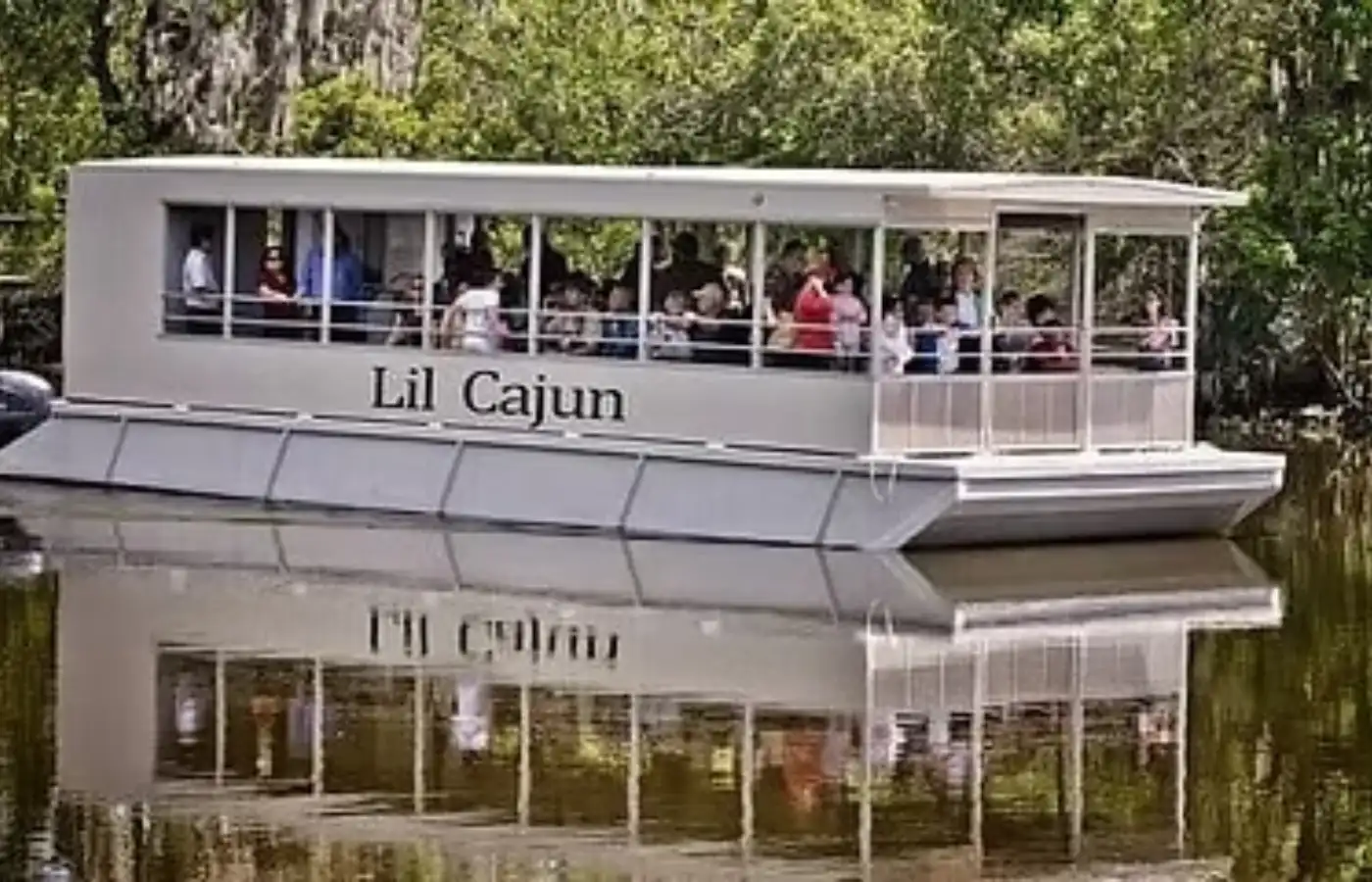 Pontoon Swamp Boat Tour New Orleans